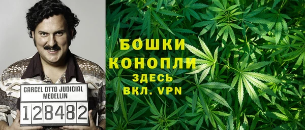 молекула духа Алексин