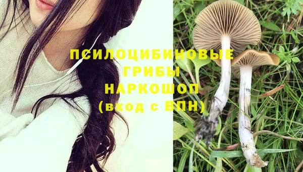 молекула духа Алексин