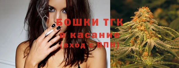 бошки Няндома