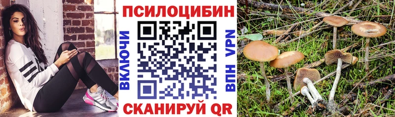 Псилоцибиновые грибы GOLDEN TEACHER  Нефтекумск 